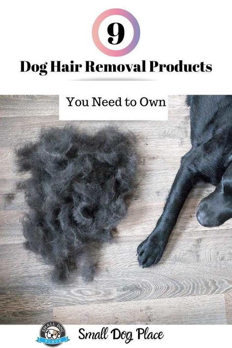 We know that cleaning these tiny strands of hair can be a pain in the neck. Here’s a list of proven and tested dog hair-removal products that you should own as a dog owner. Hair Removal Products, Strands Of Hair, Dog Hair Removal, Corgi Puppies, Welsh Corgi Puppies, Welsh Corgi, Dog Owner, Small Dog, Dog Hair