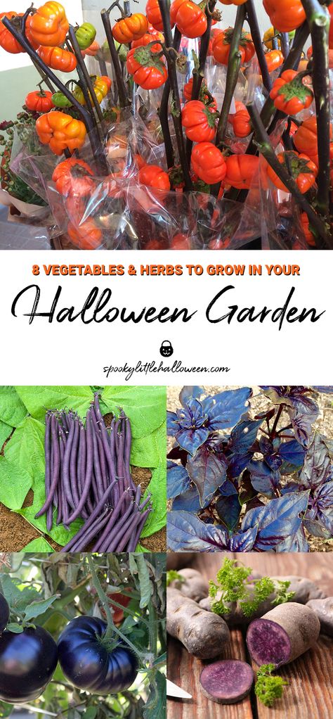 8 Vegetables and Herbs to Grow in Your Halloween Garden - Spooky Little Halloween Gothic Vegetable Garden, Diy Witch Garden Decor, Botanical Halloween Decor, Ferns Balcony, Witch’s Garden, Goth Homestead, Witchy Garden Aesthetic, Gothic Homestead, Halloween Garden Ideas