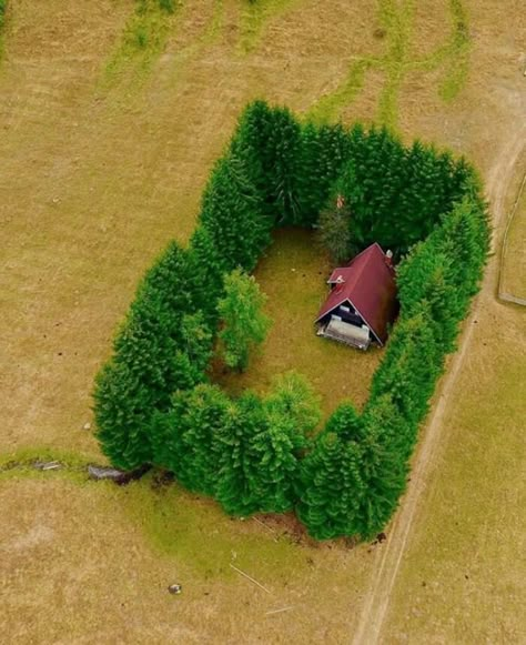 16 Isolated Houses That Can Bring Peace to Your Soul Wayne Dyer, E Card, Aerial View, Bones Funny, Funny Cute, A House, Funny Images, Make Me Smile, I Laughed