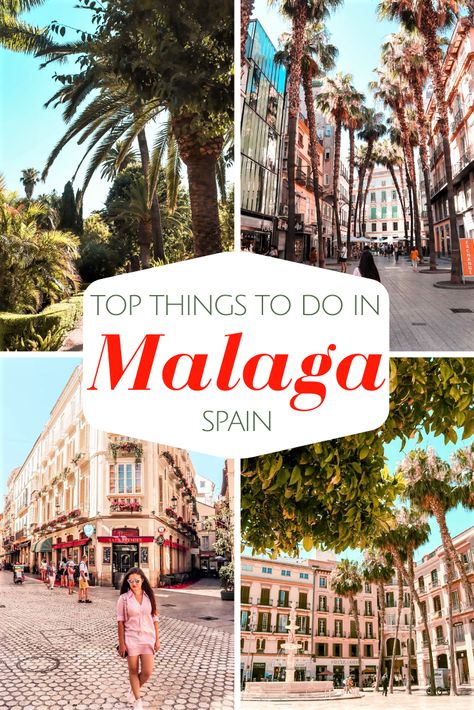 Malaga is the classic destination for a successful holiday in Spain. The city with a mild climate, with 300 sunny days a year, with fortresses, castles, cathedrals, orange flavor, parrots flying free, and Arab influences is the perfect getaway in any season. | malaga | spain | costa del sol | best things to do in malaga | top things to do in malaga | one day in malaga | things to see in malaga | malaga attractions | #malaga #malagaspain #costadelsol #spain #malagatravel Malaga City, Spain Itinerary, Spain Travel Guide, Coastal City, Malaga Spain, Spain Holidays, Europe Travel Guide, Spain And Portugal, Europe Travel Tips