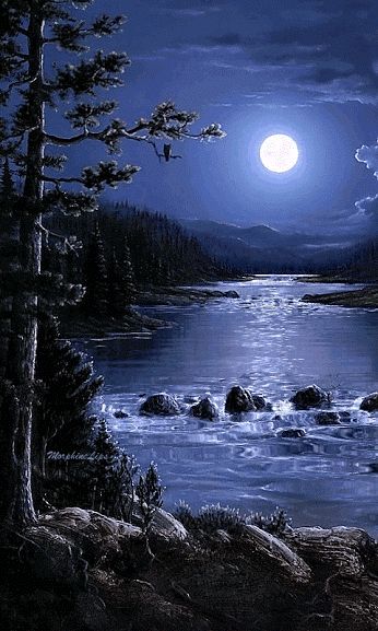 The midnight hour Cer Nocturn, Shoot The Moon, Moon Pictures, Moon Photography, Beautiful Moon, Beautiful Gif, Beautiful Nature Wallpaper, Alam Yang Indah, Moon Art