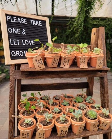 Wedding Gifts For Guests Plants, Take One And Watch Love Grow, Wedding Favor Plants, Wedding Plant Gifts For Guests, Succulent Wedding Favors Display, Wedding Plant Gift, Wedding Plant Favors, Plant Pot Wedding Favour, Potted Plant Wedding Favors