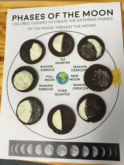 8/5/16 Learning about the phases of the moon with OREOS! 8 Phases Of The Moon, Oreo Moon Phases, Moon Phases Activities, Science Exhibition Ideas, Eclipse Activities, Solar Eclipse Activity, Moon Science, Festival Activities, Moon Cookies