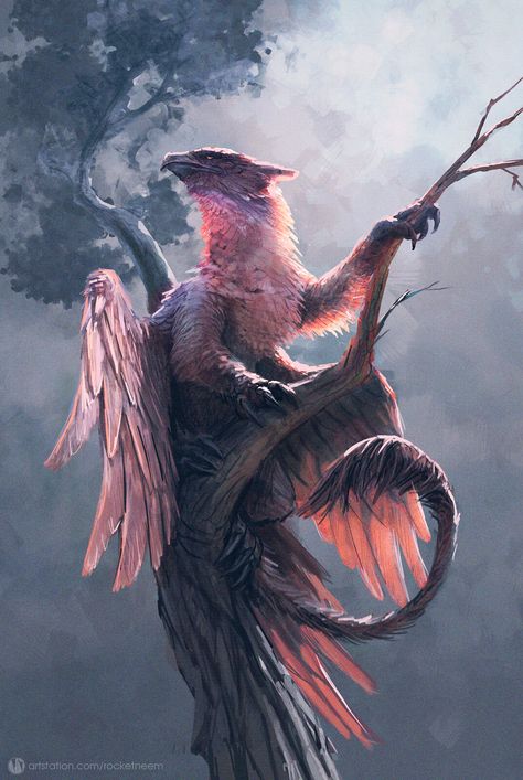 gryphon, Anastasiya RocketNeem on ArtStation at https://www.artstation.com/artwork/QraaZ8 Griffin Mythical, Mythical Monsters, Creature Artwork, Mythical Animal, Fantasy Beasts, Monster Concept Art, Fantasy Monster, Fantasy Creatures Art, Mythical Creatures Art