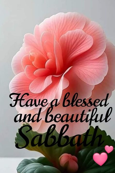 Happy Sabbath Greetings, Blessed Sabbath Quotes, Sabbath Blessings Quotes, Happy Sabbath Blessings, Happy Sabbath Quotes Beautiful, Blessed Sabbath, Sabbath Meals, Sabbath Greetings, Sabbath Prayer