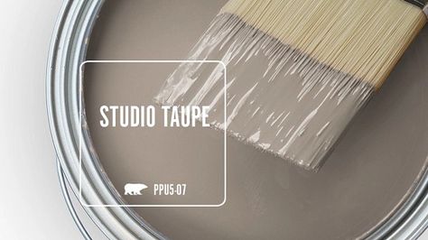 STUDIO TAUPE PPU5-07 | Behr Paint Colours Taupe Home Interiors, Behr Studio Taupe, Cool Taupe Paint Colors, Behr Earthy Paint Colors, Studio Taupe Behr, Sculpture Clay Behr Paint, Behr Soft Focus, Behr Living Room Paint Color Ideas, Behr Taupe Paint Colors