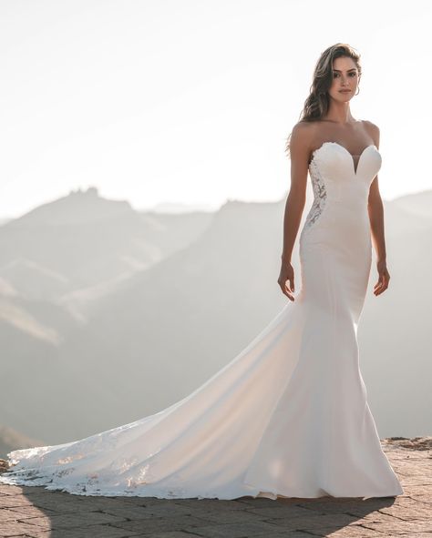 🚨 NEW ARRIVAL ALERT 🚨 This gorgeous crepe gown arrived today and we couldn’t wait to share it with you all!! Swipe to see this stunner without the detachable long sleeves ⏭️ . . . #bride #bridal #wedding #weddingdress #weddings #bridetobe #2024bride #2025bride #mnbride #minnesotabride #classicbride #allurebridals #newarrival #bellabride #bellabridalbtq 2026 Wedding, Wedding Gown Preservation, Kleinfeld Bridal, Allure Bridals, Fit And Flare Wedding Dress, Designer Bridal Gowns, Allure Bridal, Wedding Dresses Plus Size, Bridal Designs