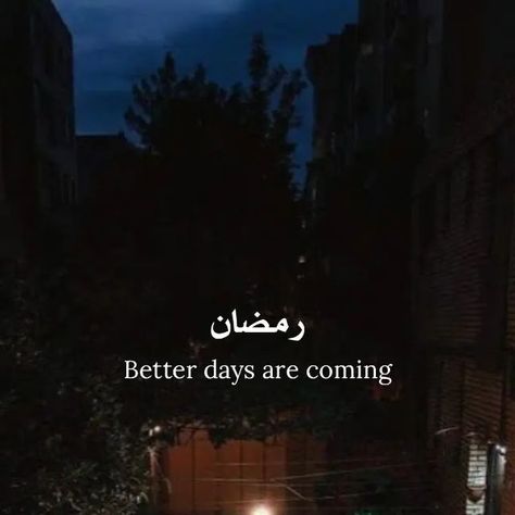 ɪꜱʟᴀᴍ on Instagram: "I am very much excited for Ramadan 2024, May Allah Allow us to reach Ramadan in Good health😍❤️🤲🤲 . . . . . . . . . . . . #bismillah  #islamicquotes #islamicquote #islamicreminder#islamicreminders #islamicpost  #islamicposts #islampost #muslimquotes #instaislam#loveislam #Bismillah #deen #islam" Ramadan 2024, For Ramadan, January 22, Beautiful Islamic Quotes, Muslim Quotes, Good Health, Islamic Quotes, Ramadan, Collage