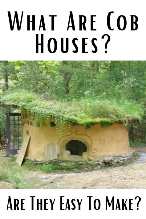 If you have spent any time at all researching off-the-grid houses and energy-efficient homes, you probably have run across the mention of a cob house. A cob house is not made from corn cobs, as I first assumed when I heard the term, but rather uses a mixture of sand, straw, and clay similar to an adobe house to build a sturdy, non-traditional house that is surprisingly easy to construct, and durable. Cob House Interior, Cob Building, Adobe House, Diy Blocks, Health Blogger, Tiny House Floor Plans, Cob House, Corn On Cob, Energy Efficient Homes