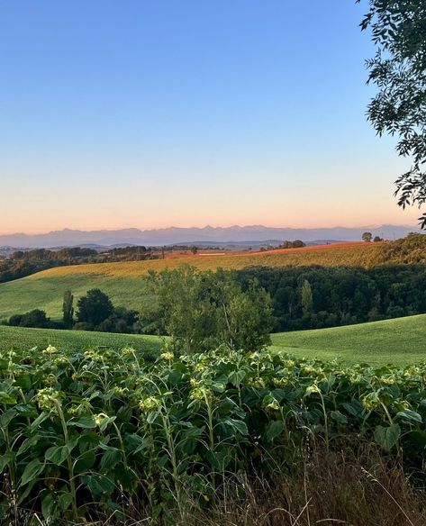 Beautiful shots around the property 🌳🌻⁠ ⁠ Thank you Ruby @pubescentrose for these beautiful photos⁠ ⁠ #nature #france #chateaulife #farmlife #riolas France Nature, Beautiful France, Farm Life, Beautiful Photo, Ruby, Thank You, France, Quick Saves, Nature