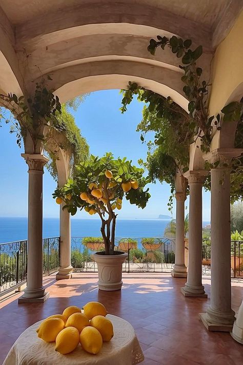 Vineyard In Italy, Italian Aesthetic House, Italian Villa Aesthetic, Coastal Hotel, Vineyard Aesthetic, Cool Mansions, Vineyard Vacation, Ashford Estate, Roman House