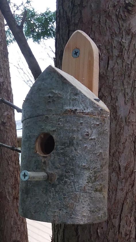 Hummingbird House : 4 Steps (with Pictures) - Instructables How To Build A Hummingbird House, How To Make A Hummingbird House, Humming Bird Houses Diy, Hummingbird House Diy, Rustic Bird Houses, Hummingbird Houses, Homemade Hummingbird Feeder, Bat House Plans, Birdhouse Plans