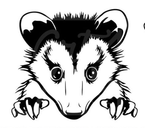 Opossum Tattoo, Red Ear Slider, Cute Possum, Cricut Animals, Leather Carving, Bear Art, Silhouette Art, Animal Coloring Pages, Vinyl Crafts