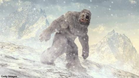 Russia Doctor Suggests Yeti Could Have Killed the Dyatlov Pass Hikers | Coast to Coast AM Real Bigfoot, Loch Ness Monster, Baba Yaga, Fairy Magic, Most Haunted, Sea Monsters, Cute Home Decor, Primates, Gremlins