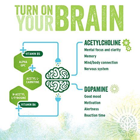 Nootropics Brain, Brain Health Supplements, Mind Diet, L Tyrosine, Brain Facts, Brain Supplements, Brain Booster, Improve Energy, Organic Green Tea