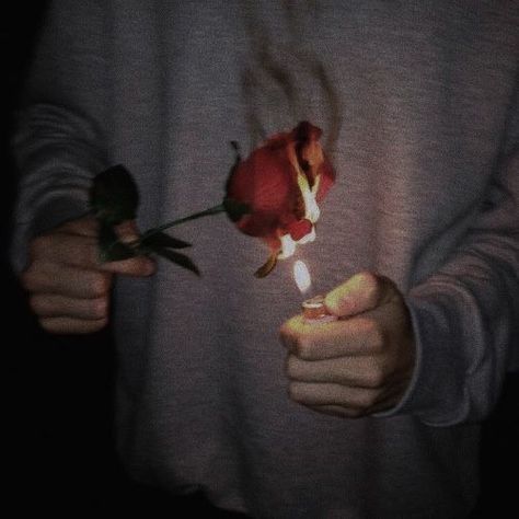 a playlist by julia on spotify Rosé Dark Aesthetic, Rose On Fire, Rosé Core, Burning Rose, Dark Red Roses, Aesthetic Roses, Rosé Aesthetic, Dark Autumn, Dark Grunge