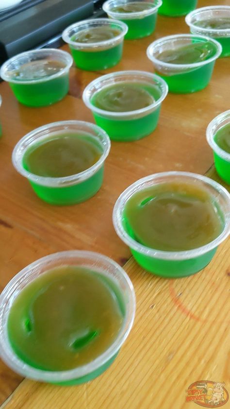 *New improved recipe for these coming soon with a better Caramel layer!* These Caramel Apple Jello Shots are a Halloween Favorite! Great green apple taste Caramel Apple Jell-o Shots, Carmel Apple Jello Shots Alcohol, Carmel Apple Jell-o Shots, Jell-o Shots, Caramel Apple Jello Shots, Apple Jello Shots, Caramel Apple Shots, Smirnoff Sours, White Jello