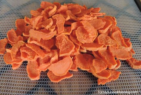 Store Sweet Potatoes, Dehydrating Food Storage, Sweet Potato Chips Baked, Sweet Potato Dishes, Yam Or Sweet Potato, Canning Food Preservation, Food Dehydrator, Sweet Potatoes For Dogs, Sweet Potato Chips