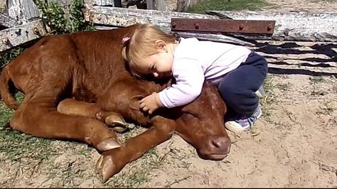 Really Big Dogs, Toddler Pictures, Girls Cuddling, Cow Canvas, Baby Cow, Animals Friendship, Baby Cows, Mans Best Friend, Big Dogs