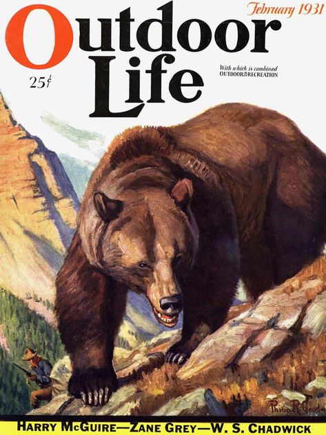 Outdoor Life Magazine, Outdoor Magazine, Bear Fishing, Life Magazine Covers, Bear Artwork, Bear Hunting, Hunting Art, Black Bears, Vintage Outdoor