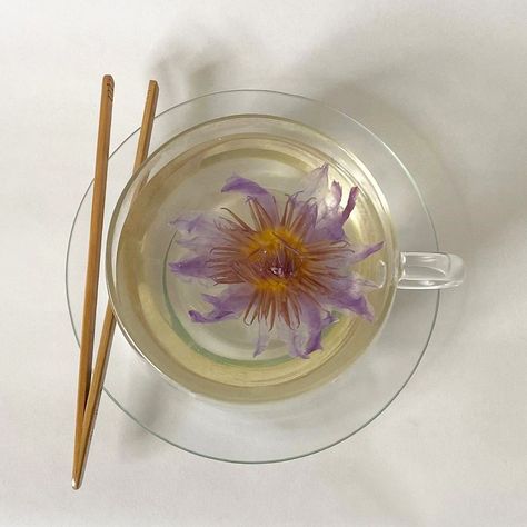 Sunday with blue lotus by @rylopes 💜💜💜 #bluotus #tisane #infusion Blue Lotus Tea, Egyptian Blue Lotus, Chrysanthemum Tea, Egyptian Blue, Gratitude Meditation, Lotus Tea, Blue Lotus Flower, Tea Eggs, Open Rose