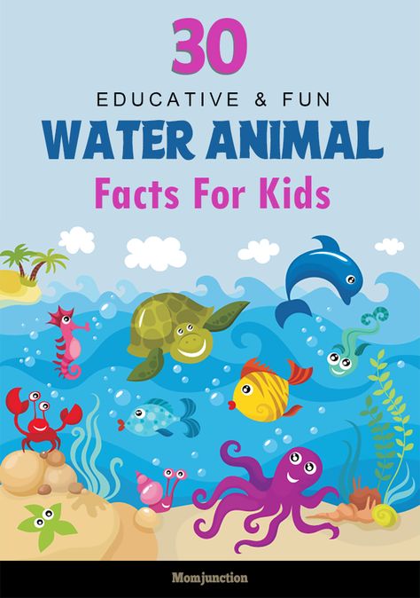 Water occupies more than 70% of the earth's surface. Understandably, oceans are home for numerous water animals. Just five percent of the earth's oceans Water Animals Preschool, Endangered Species Activities, Ocean Facts, Animal Information, Animal Facts For Kids, Water Facts, Teaching Lessons Plans, Animal Activities For Kids, Animal Lessons