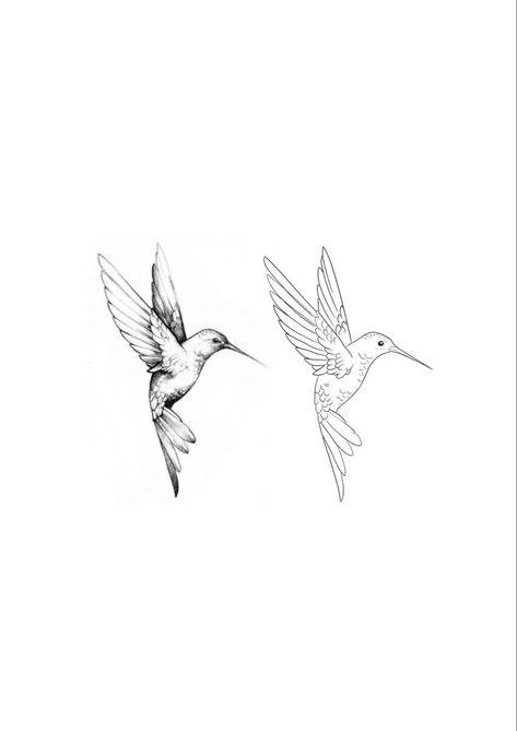 Fineline Hummingbird Tattoo, Hummingbird Tattoo Back, Hummingbird Tattoo Stencil, Fineline Bird Tattoo, Micro Realism Tattoo Design, Fine Line Hummingbird Tattoo, Hummingbird Tattoo Design, Hummingbird Tattoo Meaning, Two Birds Tattoo