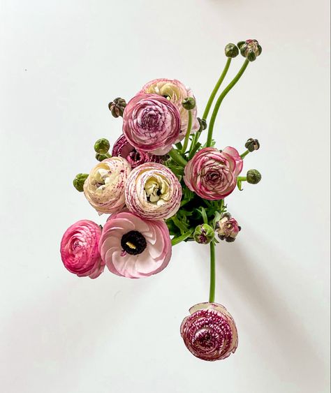 Flower Bouquet Ranunculus, Persian Buttercup Tattoo, Persian Buttercup Bouquet, Ranunculus Tattoo, Buttercup Bouquet, Persian Buttercup Flower, Garden Rose And Ranunculus Bouquet, Buttercup Tattoo, Bouquet Ranunculus