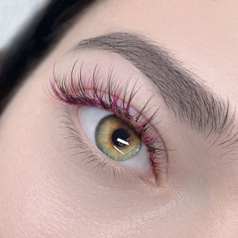 Pink Eyelashes Extensions, Eyelash Extensions Colorful, Eyelash Extensions With Color, Black Lash Extensions, Pink Eyelash Extensions, Blue Lashes, Highlights Thick, Pink Lashes, Volume Lash Extensions