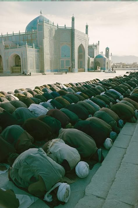 Muslims Praying In Afghanistan Muslims Praying, Islamic Topics, Islamic Prayer, World Religions, Foto Art, Islamic Wallpaper, Place Of Worship, Maldives, Fine Art America