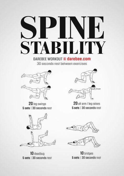 Workout For Spine, Spine Stability Exercises, Spine Workout, Stability Workout, Eds Workout Exercise, Spine Decompression At Home, Spine Exercises, Stability Exercises, Spine Health