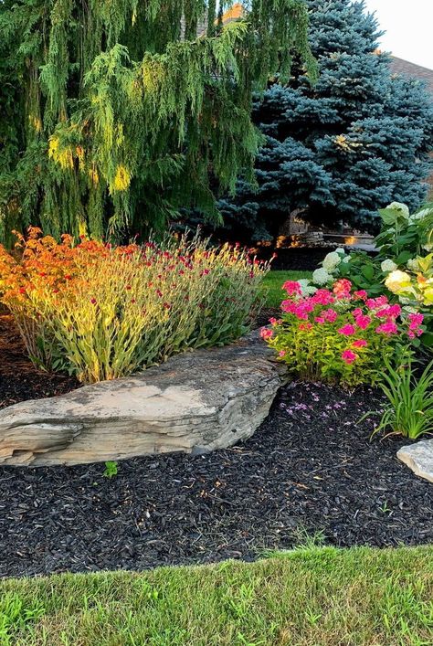 Not sure whether to plant annuals or perennials in your garden? Here's how to settle the perennial vs. annual debate to help you have a blooming garden and front yard. #gardening #gardenideas #realsimple #flowergarden #growingflowers #curbappealideas Long Blooming Perennials, Clematis Vine, Plant Catalogs, Blooming Garden, Gardening Techniques, Front Landscaping, Replant, Annual Plants, Growing Flowers