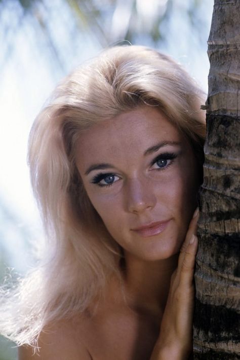 Yvette Mimieux, Cardiff, Mars, Getty Images, Blonde, Train, Actresses, Film