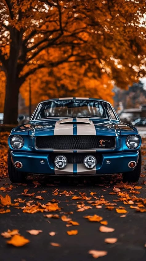 Ford Mustang Shelby Gt500 1967 Wallpaper, Harley Davidson Iron 883 Wallpaper, Ford Mustang Gt 1967, Mustang Gt 1967, Mustang Classic, Cars Pictures, Mustang Wallpaper, Classic Vintage Cars, Crazy Cars