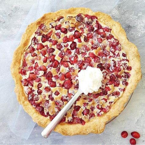 Move cranberries from your side dish to your dessert table this holiday season with a Cranberry Custard Pie. Smooth, creamy custard and fresh cranberries pair with a flaky butter crust in the perfect balance of sweet and tart. Three is an odd number. Both literally and figuratively since it Cranberry Custard Pie, Cranberry Custard, Pie Crust Shield, Custard Pie Recipe, Cranberry Orange Bread, Cranberry Pie, Butter Crust, Pie Pops, Holiday Pies