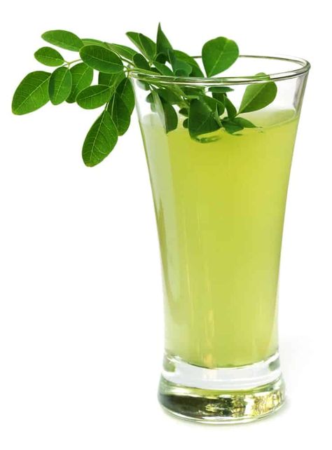 Moringa-jus-frais Moringa Drink, Edible Plants, Living A Healthy Life, One Moment, The Doctor, Free Sample, Pint Glass, Healthy Life, Beer Glasses