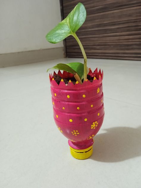 😳Plastic bottle Planter ||mini planter out of waste #planter#plantpit#plasticbottleplanter #reuse Plastic Bottle Planter, Diy Plastic Bottle, N Craft, Art N Craft, Plastic Bottle, Plastic Bottles, Art