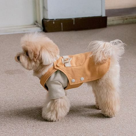 Dog Apparel Pet Fashion, Small Dog Outfits, Dog With Clothes, Cute Dog Outfits, Cute Puppy Clothes, Puppy Outfits, Dog Overalls, Boy Dog Clothes, Dog Fashion Clothes