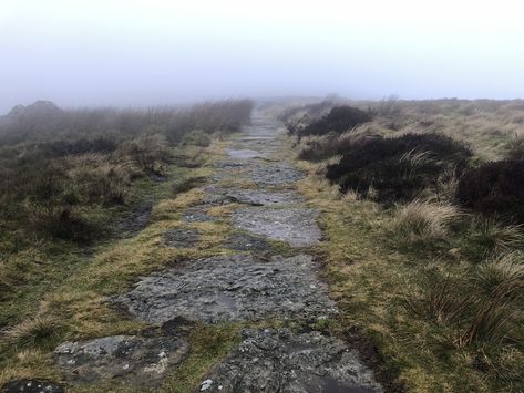 Moors Aesthetic, Misty Moors, Green Knight, North York Moors, Misty Morning, Wuthering Heights, Hero's Journey, Fantasy Aesthetic, Pretty Photos