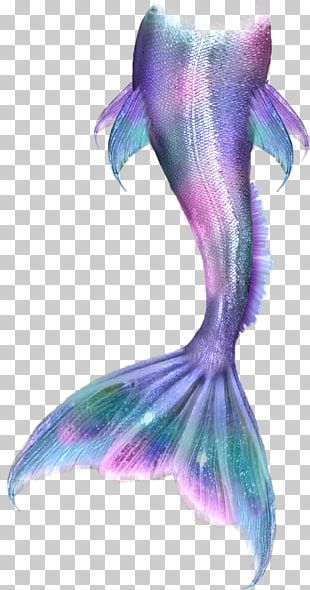 Mermaid Tail Clipart, Merliah Summers, Mermaid Tail Drawing, Disney Princess Png, Merman Tails, Little Mermaid Characters, Disney Png, Mermaid Coloring Book, Mermaid Cartoon