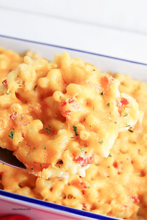 Rotel Macaroni and Cheese Mac And Cheese With Rotel Tomatoes, Velveeta Macaroni And Cheese, Velveeta Rotel, Velveeta Mac And Cheese, Cold Pasta Dishes, Rotel Recipes, Dorm Food, Southern Cooking Recipes, Crazy Kitchen