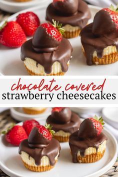 Puding Pisang, Chocolate Covered Strawberry Cheesecake, Strawberry Cheesecakes, Mini Cheesecake Recipes, Cake Mini, Chocolate Covered Strawberry, Cheesecake Desserts, Oreo Dessert, Cheesecake Bites