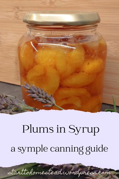 With this recipe, you can easily preserve plums in syrup. You can later use them for sauces, pies, in salads and tagines, or with some ice cream Preserve Plums, Canning Guide, Canned Plums, Syrup, Plum, Sauce, Pie, Ice Cream, Salad