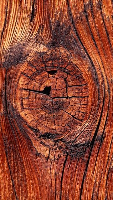 Foto Macro, Old Wood Texture, Tree Bark Texture, Tree Textures, Iphone 5 Wallpaper, Concrete Sculpture, Texture Inspiration, 수채화 그림, Wood Wallpaper