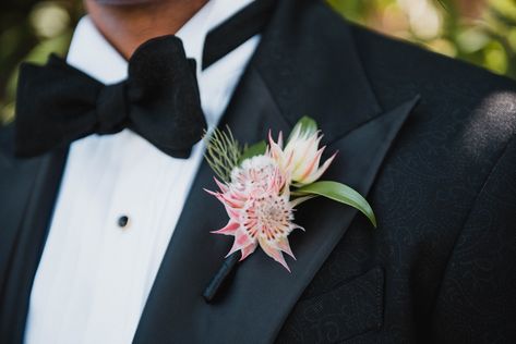 Boutonnieres Photos - Protea Blossom Boutonniere - Inside Weddings Protea Boutonniere, Blushing Bride Protea, Aruba Wedding, Single Flower Bouquet, June Flower, Wedding Stills, Bridal Bouquet Fall, Protea Flower, Wedding Photo Gallery