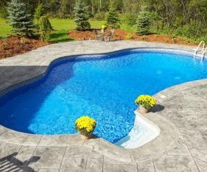 Pool Ideas for Small Yards Small Inground Swimming Pools, Small Inground Pool, Swimming Pool Construction, Small Swimming Pools, Swimming Pools Inground, Gunite Pool, Concrete Pool, Pool Construction, Pool Filters