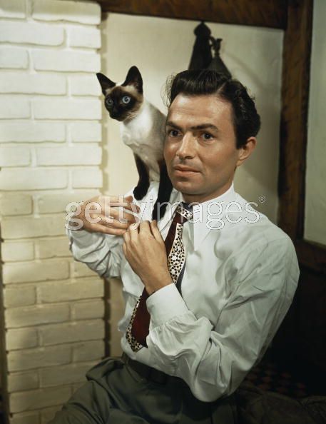 James Mason (North by Northwest) with one of his 3 Siamese, c. 1945 Celebrities With Cats, James Mason, Tumblr Hipster, Maureen O'hara, Actor James, Happy Things, Cat People, British Actors, Siamese Cats