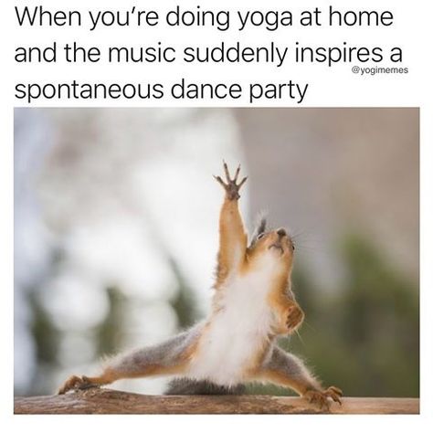 repost @yogimemes What’s your favorite music to flow too??? . . . . #yogamusic #yogadj #yogavibes #danceparty #yoga #yogishow Funny Yoga Pictures, Training For A Half Marathon, Yoga Meme, Yoga Lifestyle Inspiration, Yoga Humor, Upward Dog, Yoga Quotes Funny, I Love Yoga, Funny Good Morning