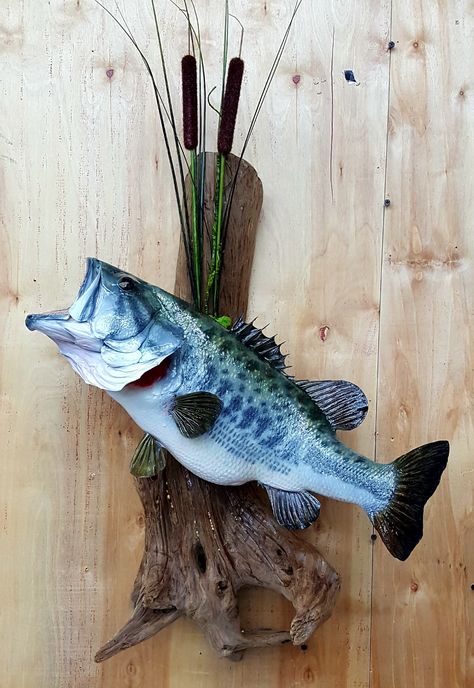 Bass Mounts Largemouth, Fish Mounts Ideas, Large Mouth Bass Pictures, Hunting Living Room Decor, Bass Mounts, Hunting Living Room, Druid House, Hunting Decor Living Room, Duck Hunting Decor