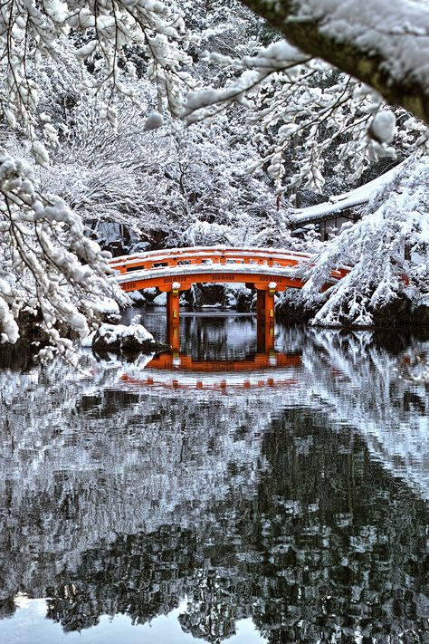 Dream Scapes, Winter In Japan, Japan Winter, Japan Landscape, Japon Illustration, Japan Culture, Kyushu, Winter Scenery, Kyoto Japan